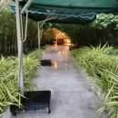 아나푸드 | 나트랑 아나만다라 깜란 조식시간 및 메뉴 후기