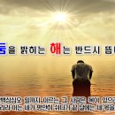 11월26일(토) 내일의 해는 반드시 떠 오릅니다. 이미지