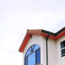 비자림의 아침 이미지