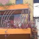 감고당길 이미지