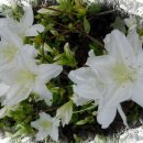 대구교육정보원 이미지