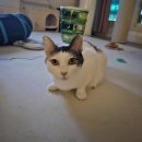 무하로 | [일상] 25년 마무리 그리고 26년시작.(인대파열이슈)