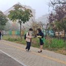 대구비슬초등학교 이미지
