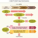 메가스크린 이미지