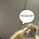 키쿠KieCoo