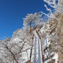 2월 22일 토요당일 - 100대명산 영남알프스 가지산/운문산 설경산행 신청안내 이미지