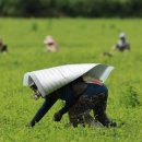 ㈜영진에너지 이미지