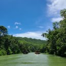 홍수농장 | 보홀짚라인 가격 초콜릿힐 입장료 미니동물원 안경원숭이 로복강 현지식 육상투어 코스
