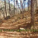 봄, 희망의소리 이미지