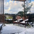 하귀하나로의원 이미지