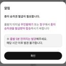 용석 이미지