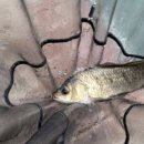 오궁낚시터 이미지