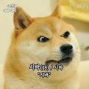 옷쟁이 이미지