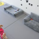 해빛5로 이미지