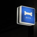 룰루네 식탁 이미지