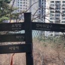 우면산7-2-2 이미지