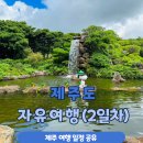 다솜레저주 | 제주도 3박 4일 자유여행 일정 가볼만한 여행지 스누피가든, 우도(Day2)