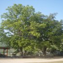 남성현초등학교 이미지