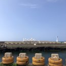 하도하도1929 : 제주도 구좌읍 독채펜션