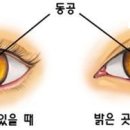 나우세이프