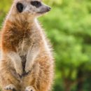 전곡2호 어린이공원 | 연천 댑싸리 공원 11월 방문 현재 상태