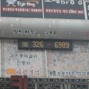 정으로사는세상을 이미지