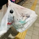 파파존스송파 이미지