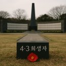 제주기억 이미지