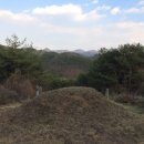 진주 가봉리 숙부인 상산박씨 묘비 및 석인상 이미지