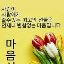마음심 네이버블로그