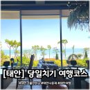 오봉오거리 교통섬 | [태안 당일치기 여행 코스] 튤립축제 끝난 지금 가기 좋은 여유로운 힐링 여행 (삼봉해수욕장 바다 산책...
