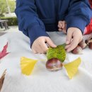 봉오초등학교병설유치원 이미지