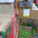 양재(주간) 이미지