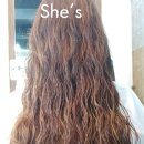 She's(쉬즈)헤어