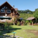 쉬자트리하우스 이미지