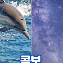 파란투어 이미지