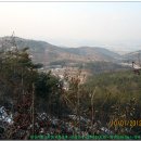 학산벌목