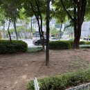 알루마레커피로스터스 | 일산 화정동 애견동반 카페 추천, 직접 로스팅하는 ”알루마레 커피 로스터스“