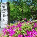 계남공원(배드민턴장) 이미지