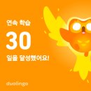 백암문고 | 2025 4月