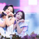예인 이미지