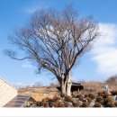 하1리 마을회관 이미지