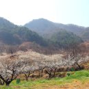 관동농장 이미지