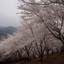 봉황산공원 이미지