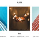 베스파유통 이미지