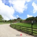 연두목장 이미지