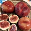 하이디 | [스위스] 스위스 신혼여행 숙소_하이디할머니샬레 2-room 후기