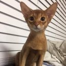 제리스토리 이미지