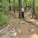 삼막골농원 이미지