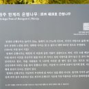 반계1리마을회관 이미지